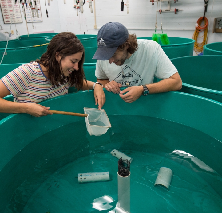 Graduate students working in Great Lakes Center lab