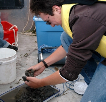 Student from the Great Lakes Center doing research
