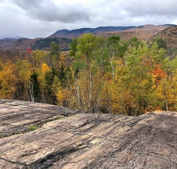 Rock formation with fall foliage