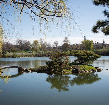 Japanese garden