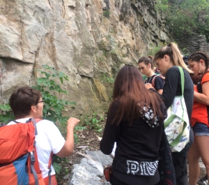 Students working in the field